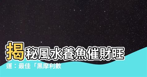 黑摩利數目|黑金魚風水：招財必看